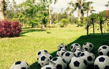 Football Crazy Golf Image