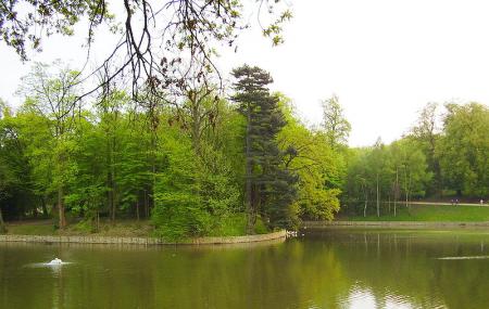 Bois De La Cambre And Foret De Soignes Image