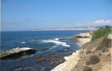 Shell Beach Image