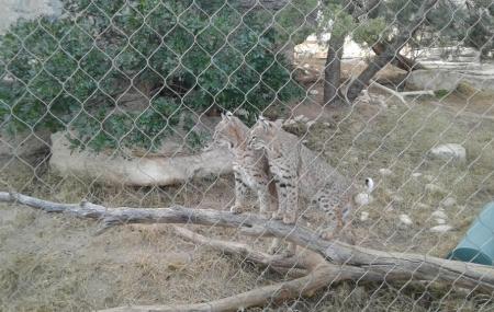 Living Desert Zoo And Gardens State Park Image