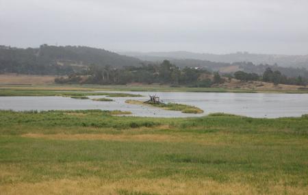 Tamar Island Wetlands Centre Image