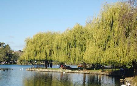 Western Springs Lakeside Park Image