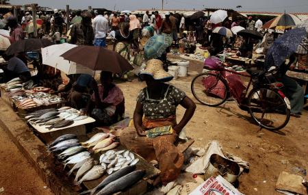 Main Fish Market Image