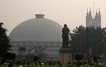 Maidan Image