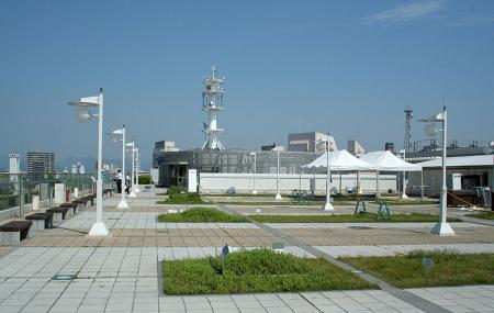 Egret Himeji Image