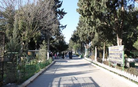 Dendro Parks Image