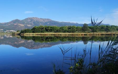 Reserve Naturelle De L'etang De Biguglia Image