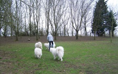 Parc De Nature Et De Loisirs De Loos Image