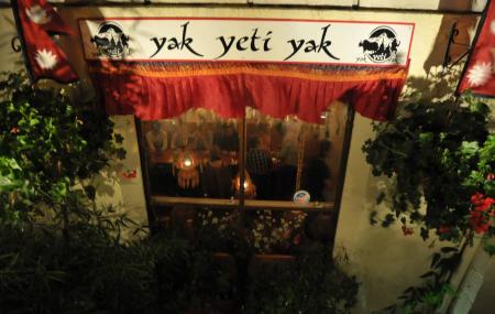 Yak Yeti Yak Image
