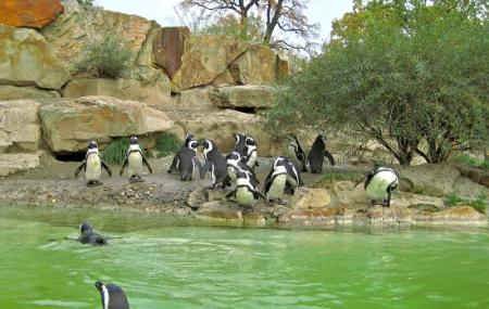 Berlin Zoo Image
