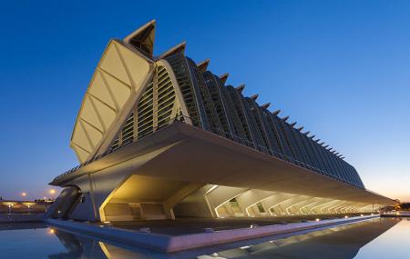 Museo De Las Ciencias Principe Felipe Image