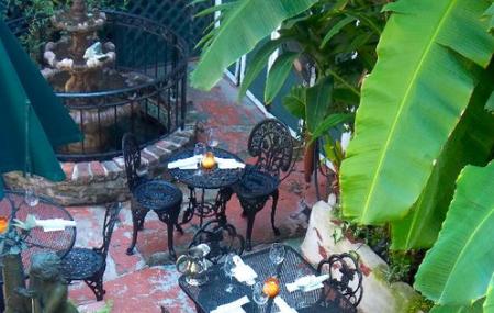 Orleans Grapevine Wine Bar And Bistro Image