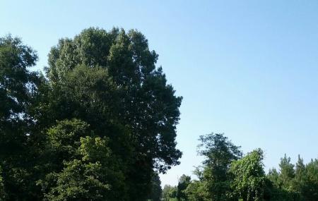 Tanglefoot Trail Image