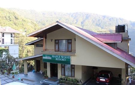 The Maplewood Resort Image