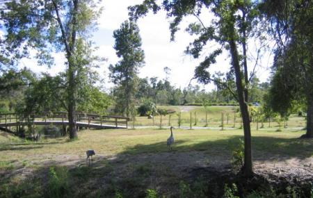 Arboretum University Of Central Florida Image
