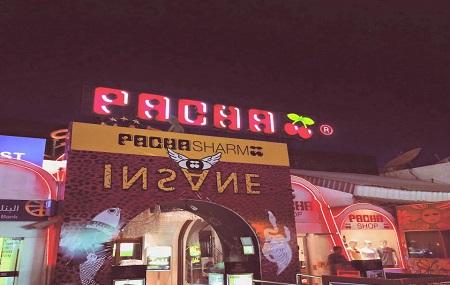 Pacha Nightclub Image