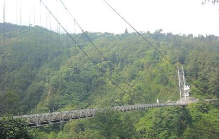 Singshore Bridge Image