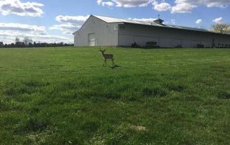 Michigan Whitetail Hall Of Fame Museum Image