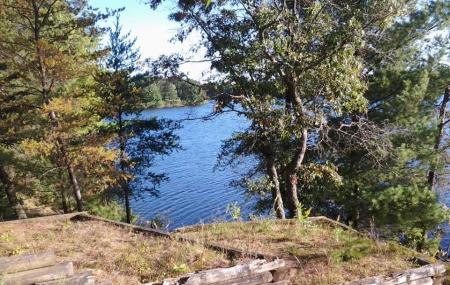 Coon Fork Lake County Park Image