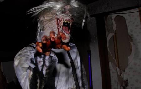 Marr Branch Haunted House Image