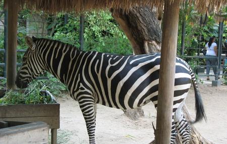 Barranquilla Zoo Image