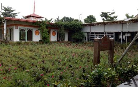 Shree Narayani Dham Temple Image